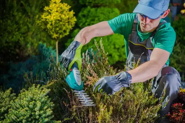 landscaping services Pleasant Hill